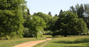 The Harcourt Arboretum Trail