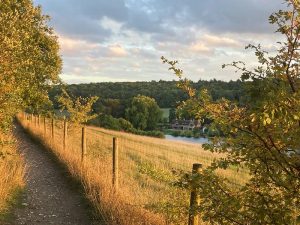 Chesham Riverside and Woodland Walk