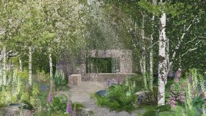 Muscular Dystrophy UK - Forest Bathing Garden chelsea flower show 2024